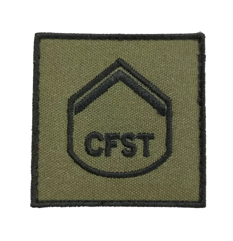 INSÍGNIA GRADUAÇÃO ALUNO/SOLDADO CURSO DE FORMAÇÃO DE SARGENTOS (CFST)